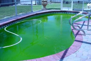 treat algae growth