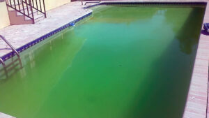 why is my pool green