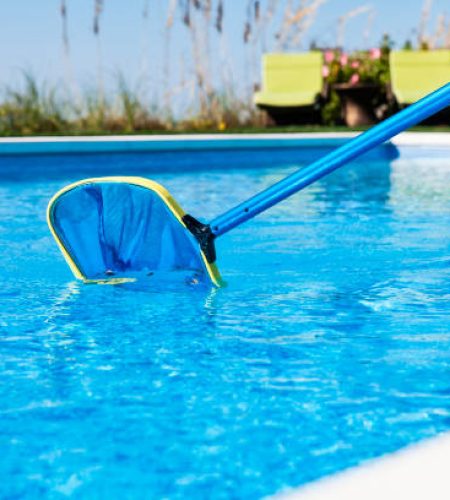 leaves being gathered in a skimmer net found in a swimming pool